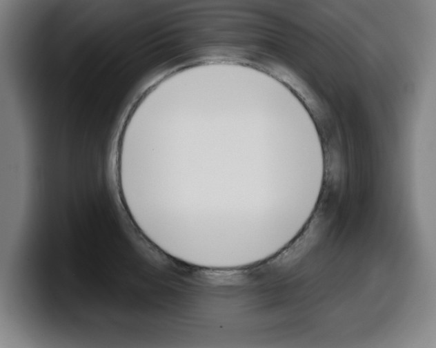 X0000099500856200805150948
