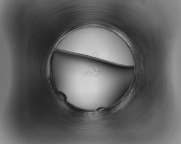 X0000099500858200805150948