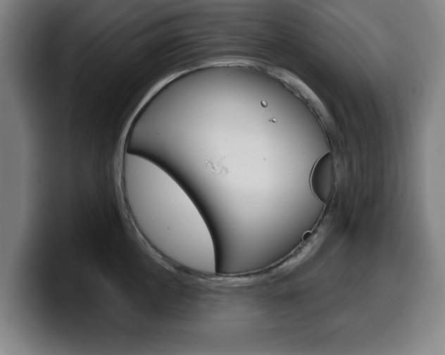 X0000099500860200805150948