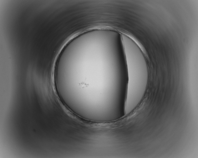 X0000099500861200805150948