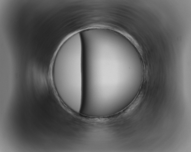 X0000099500862200805150948