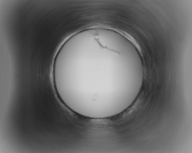 X0000099500863200805150948