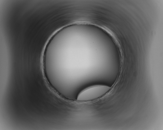 X0000099500864200805150948