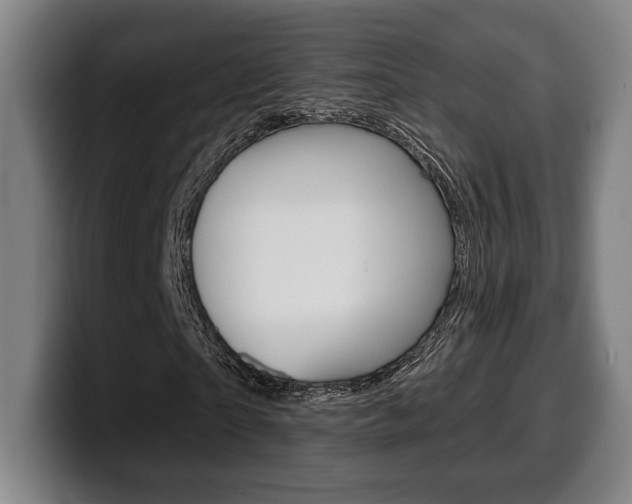 X0000099500865200805150947