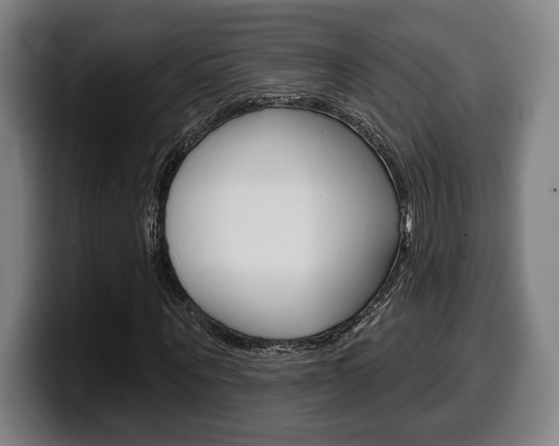 X0000099500867200805150947