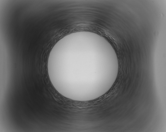 X0000099500868200805150947