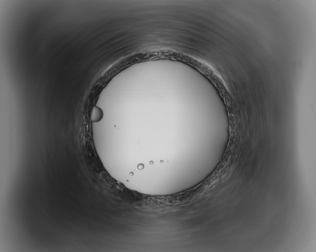 X0000099500871200805150947