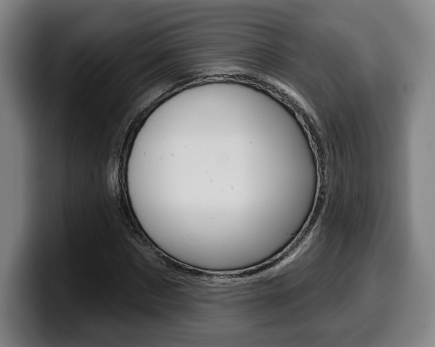 X0000099500873200805150947
