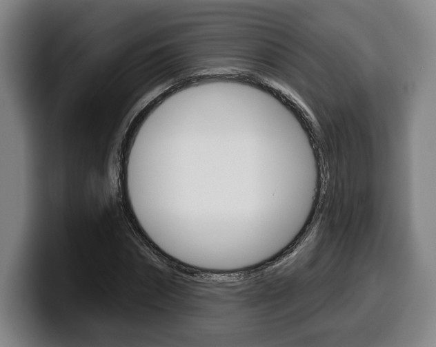 X0000099500874200805150947