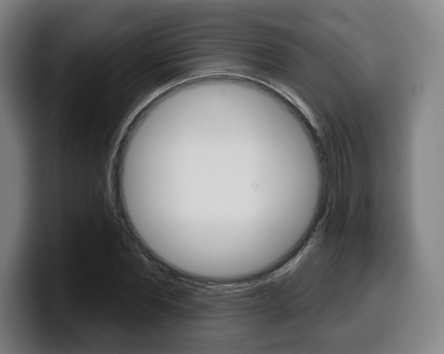 X0000099500877200805150947
