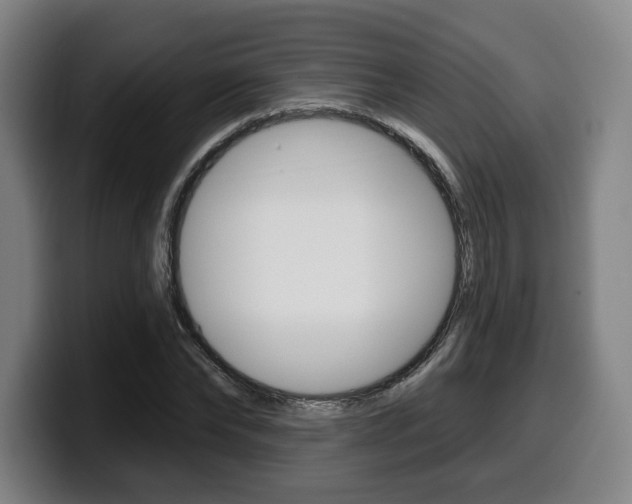 X0000099500878200805150947