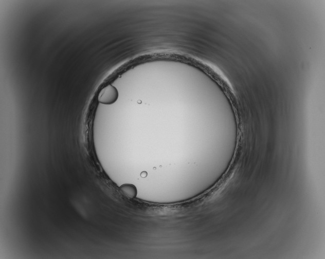 X0000099500879200805150947
