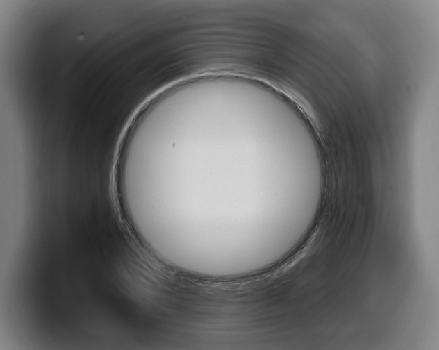 X0000099500880200805150947