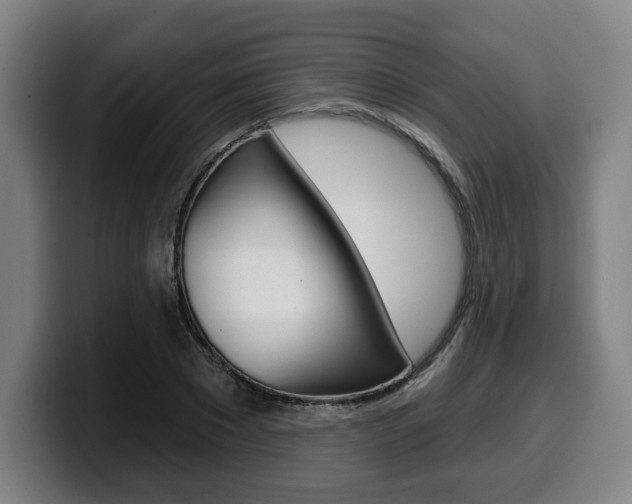 X0000099500881200805150947