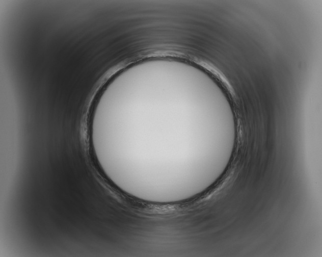 X0000099500882200805150947