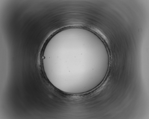 X0000099500883200805150947