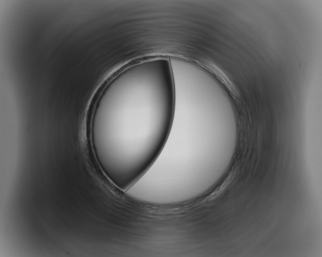 X0000099500884200805150947