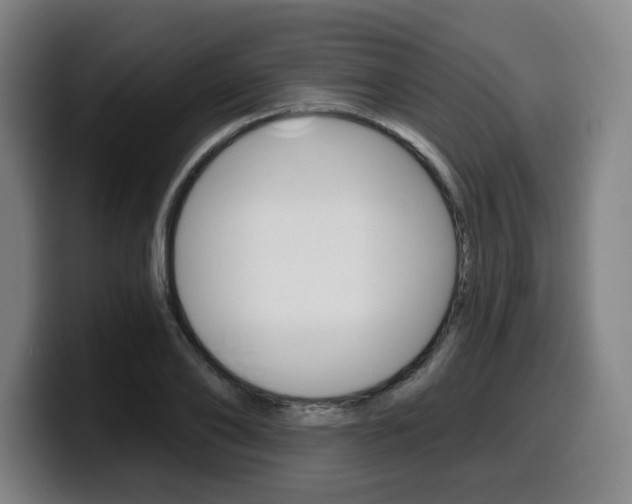 X0000099500886200805150947