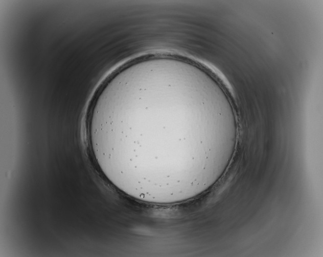 X0000099500887200805150947