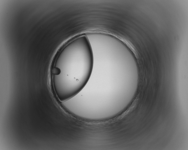 X0000099500888200805150947