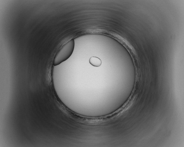 X0000099500889200805150947