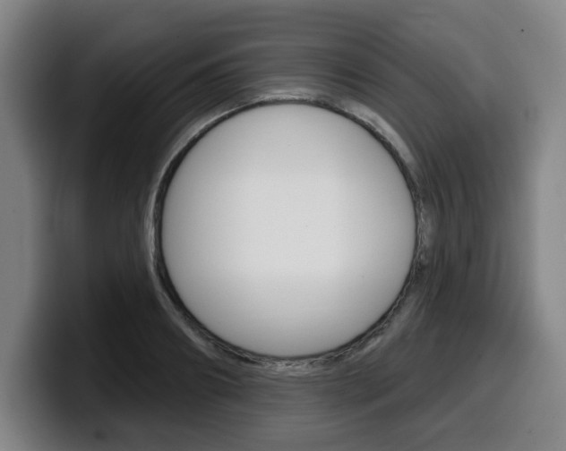 X0000099500890200805150947