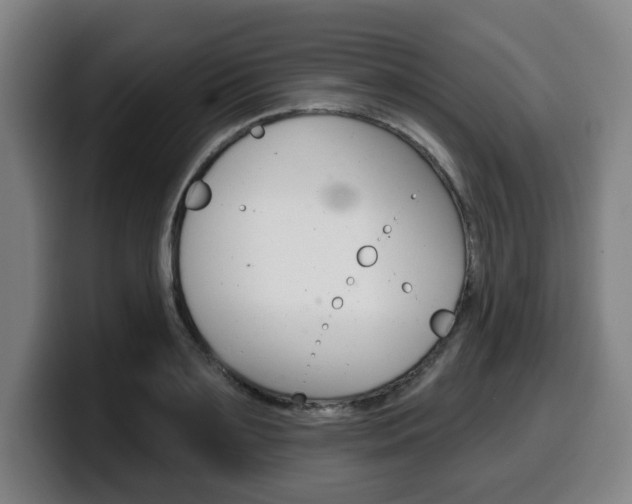 X0000099500891200805150947