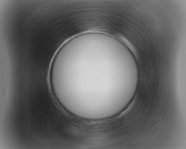 X0000099500892200805150947