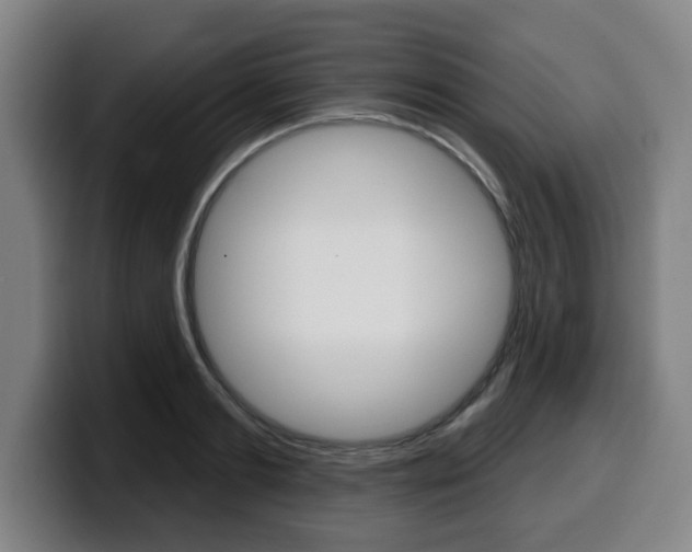 X0000099500893200805150947