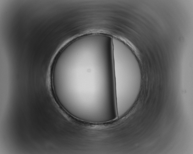 X0000099500894200805150947