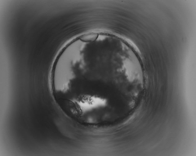 X0000099500895200805150947