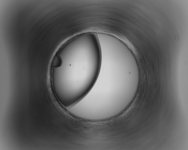 X0000099500896200805150947