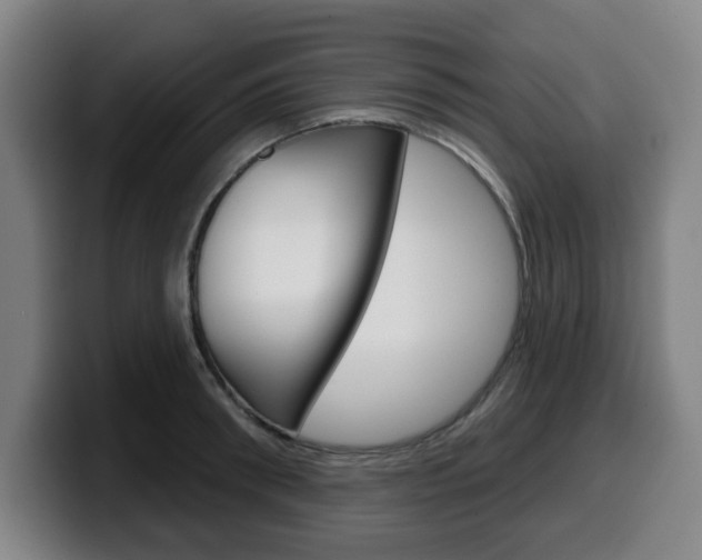 X0000099500898200805150947