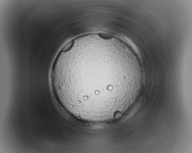 X0000099500899200805150947