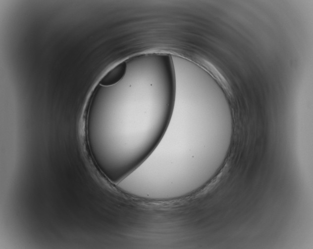 X0000099500900200805150947