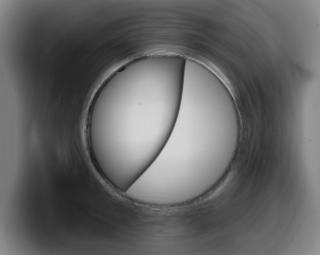 X0000099500901200805150947