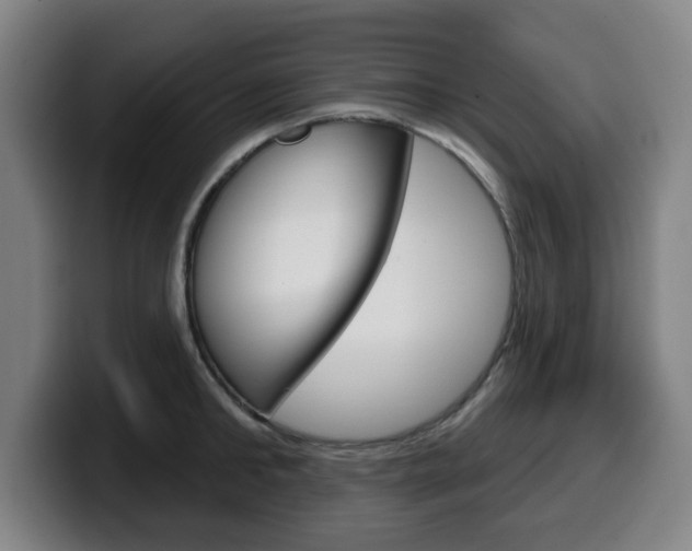 X0000099500902200805150947