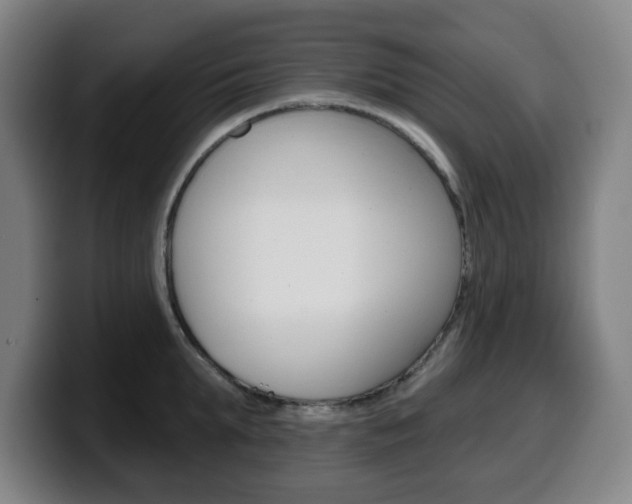 X0000099500903200805150947