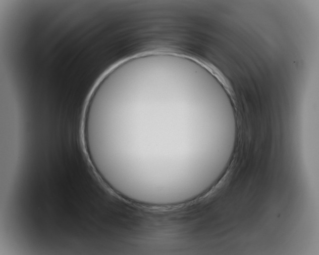 X0000099500904200805150947