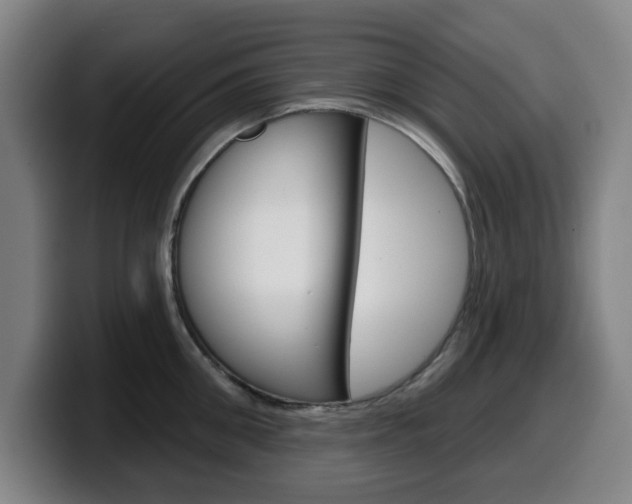 X0000099500906200805150947