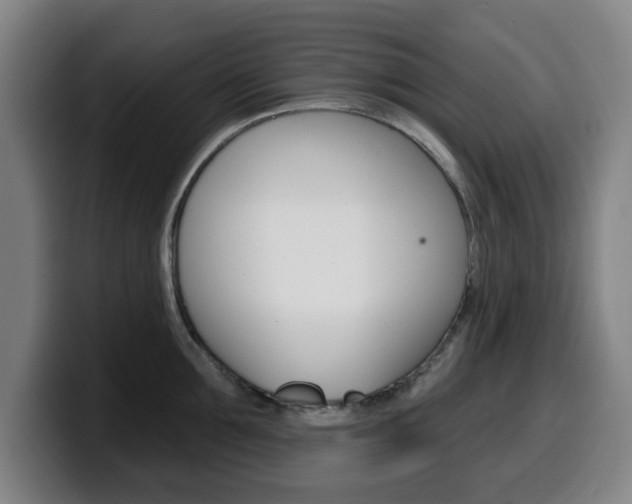 X0000099500907200805150947