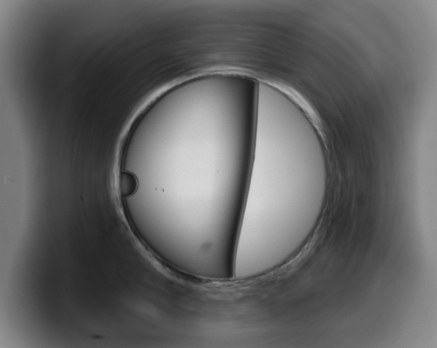 X0000099500910200805150947