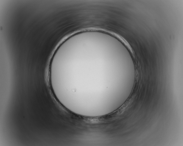 X0000099500911200805150947