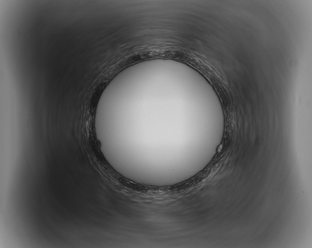 X0000099500914200805150946