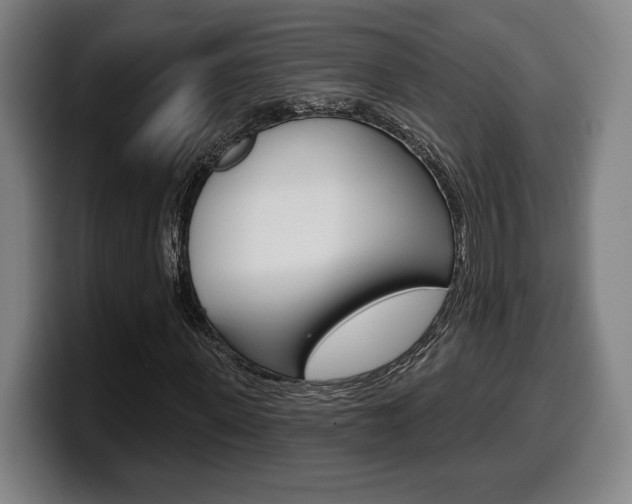 X0000099500915200805150946