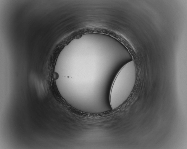 X0000099500919200805150946