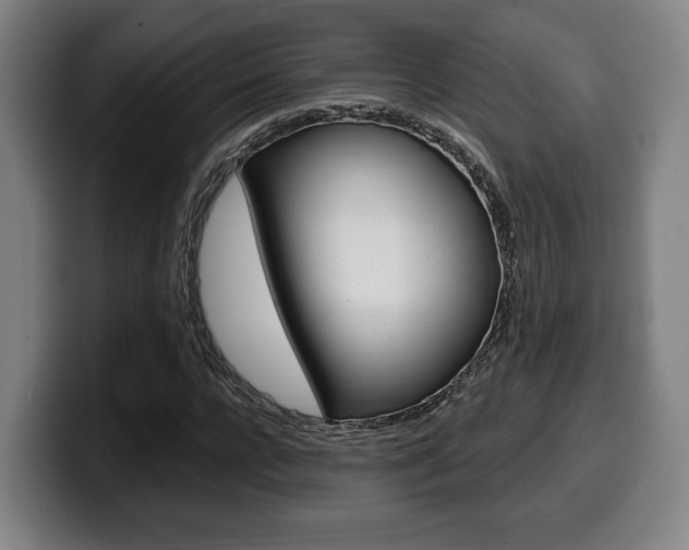 X0000099500920200805150946