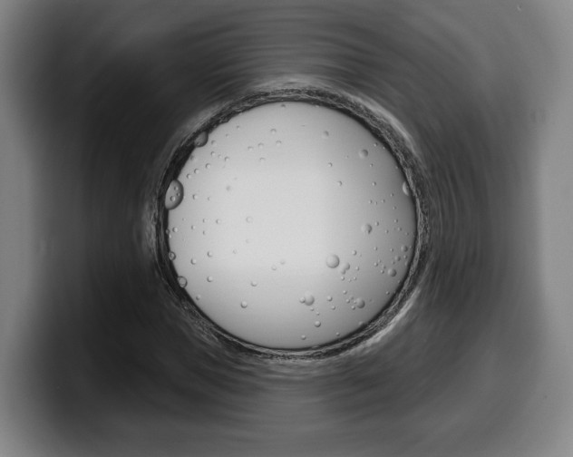 X0000099500921200805150946