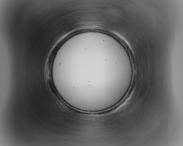 X0000099500925200805150946