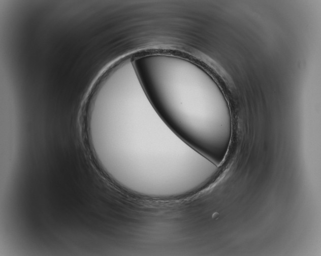 X0000099500926200805150946